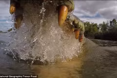 Hàm răng sắc nhọn của con cá sấu. (Nguồn: National Geographic)