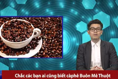 RapNewsPlus chuyên đề số 11