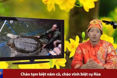 Rap News số 42