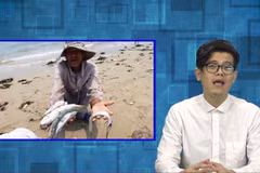 Rap News số 12