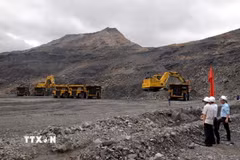 Xe chở than siêu trường, siêu trọng tại tỉnh Quảng Ninh. (Ảnh: TTXVN)