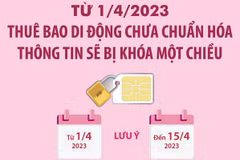 Từ 1/4, thuê bao di động chưa chuẩn hóa thông tin sẽ bị khóa một chiều
