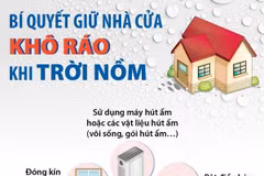 [Infographics] Những bí quyết giữ nhà cửa khô ráo khi trời nồm