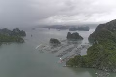 Toàn cảnh làng chài trên vịnh Bái Tử Long. (Nguồn: Vietnam+)