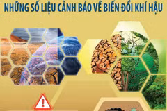[Infographics] Những số liệu cảnh báo về biến đổi khí hậu