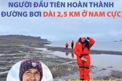 Hernandez - Người đầu tiên hoàn thành đường bơi 2,5km ở Nam Cực