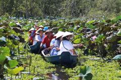Khu du lịch rừng tràm Trà Sư, thị xã Tịnh Biên, tỉnh An Giang, thu hút đông du khách đến tham quan, trải nghiệm dịp dầu năm mới. (Ảnh: Công Mạo/TTXVN)