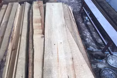 Tang vật được giữ tại Hạt kiểm lâm Đà Lạt. (Ảnh: TTXVN phát)
