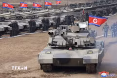 (Nguồn: TTXVN)