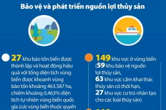 Đưa Việt Nam trở thành quốc gia có nghề cá phát triển bền vững vào năm 2050
