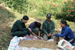 Thượng tá Trần Xuân Hiểu, Phó Bí thư tăng cường xã Nậm Cắn, huyện Kỳ Sơn, tỉnh Nghệ An hướng dẫn người dân phát triển kinh tế. (Ảnh: Văn Tý/TTXVN)