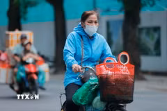 Ảnh minh họa. Nguồn: TTXVN)