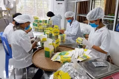 Đóng gói sản phẩm chế biến từ trà hoa vàng ở Quảng Ninh. (Ảnh: TTXVN phát)