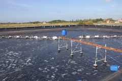 Ao nuôi tôm công nghệ cao, phương pháp hữu cơ, giảm lượng khí nhà kính phát thải từ quá trình nuôi trồng thủy sản của người dân tại xã Long Điền Đông (Đông Hải, Bạc Liêu). (Ảnh: Chanh Đa/ TTXVN)