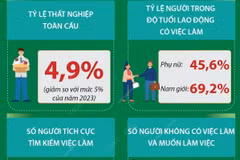 ILO: Tỷ lệ thất nghiệp toàn cầu giảm nhẹ trong năm 2024