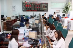 Ảnh minh hoa. (Ảnh: Trần Việt/TTXVN).