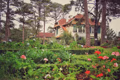 [Photo] Đà Lạt níu chân du khách với những sắc hoa rực rỡ sắc màu