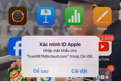 (Ảnh chụp màn hình)