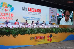 Toàn cảnh COP10. (Nguồn: FCTC)