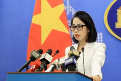 Làm sâu sắc hơn nữa quan hệ kinh tế giữa Việt Nam-Hoa Kỳ
