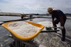 Hàn Quốc kiểm tra chuyên sâu về phóng xạ trên các cánh đồng muối