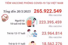 [Infographics] Tình hình tiêm vaccine phòng COVID-19 tại Việt Nam