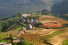 Ruộng bậc thang ở Sa Pa. (Ảnh: Ngọc Hà/TTXVN)