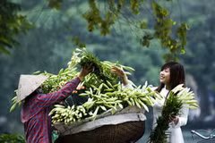 Ảnh minh họa. (Nguồn: Internet)