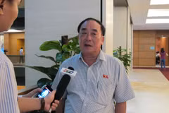 Đại biểu Quốc hội Trần Ngọc Vinh, đoàn Hải Phòng trả lời báo chí. (Ảnh: Đức Duy/Vietnam+)