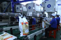 Đóng gói sản phẩm gạo xuất khẩu. (Ảnh: Vũ Sinh/TTXVN)