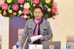 Chủ tịch Quốc hội Nguyễn Thị Kim Ngân phát biểu. (Ảnh: Trọng Đức/TTXVN)