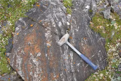 (Nguồn: sciencedaily.com)