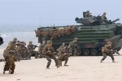 Binh sỹ tham gia cuộc tập trận BALTOPS của NATO tại Nemirseta, Litva. (Nguồn: AFP/TTXVN) 