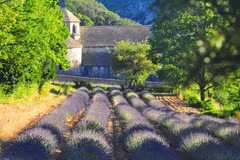 Ngoại ô Gordes, vùng Provence, Pháp. (Ảnh: Trương Anh Ngọc/Vietnam+)