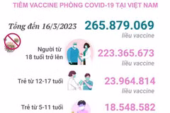 [Infographics] Tình hình tiêm vaccine phòng COVID-19 tại Việt Nam