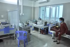 (Ảnh minh họa: TTXVN phát)