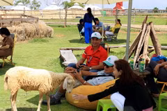 Khách du lịch trải nghiệm dịch vụ tại khu du lịch sinh thái Mian Farm, xã Hòa Thắng, huyện Bắc Bình, Bình Thuận. (Ảnh: Hồng Đạt/TTXVN)