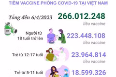 [Infographics] Tình hình tiêm vaccine phòng COVID-19 tại Việt Nam