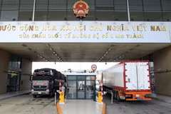 Xe chở quả tươi tại Cửa khẩu quốc tế đường bộ số II Kim Thành xuất khẩu sang Trung Quốc. (Ảnh: Quốc Khánh/TTXVN)