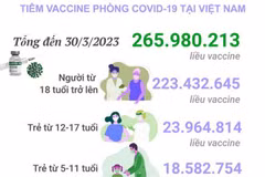 [Infographics] Tình hình tiêm vaccine phòng COVID-19 tại Việt Nam