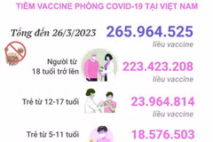 [Infographics] Tình hình tiêm vaccine phòng COVID-19 tại Việt Nam