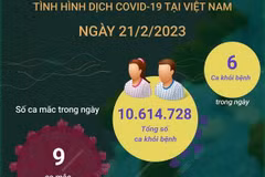 [Infographics] Cập nhật tình hình dịch COVID-19 ở Việt Nam ngày 21/2