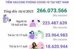 Cập nhật tình hình tiêm vaccine phòng COVID-19 được tiêm ở Việt Nam
