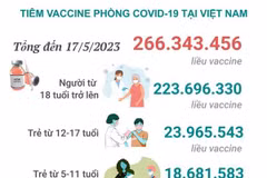 [Infographics] Tình hình tiêm vaccine phòng COVID-19 tại Việt Nam