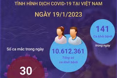 [Infographics] Cập nhật tình hình dịch COVID-19 ở Việt Nam ngày 19/1