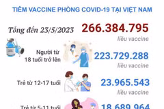 [Infographics] Tình hình tiêm vaccine phòng COVID-19 tại Việt Nam 