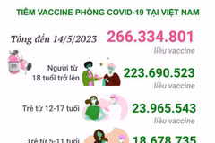Hơn 11.406 triệu liều vaccine phòng COVID-19 đã được tiêm ở Việt Nam