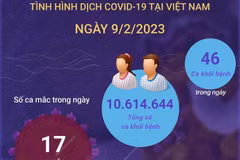 [Infographics] Cập nhật tình hình dịch COVID-19 ở Việt Nam ngày 9/2