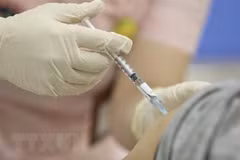 Tiêm vaccine ngừa COVID-19. (Nguồn: TTXVN)