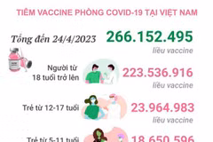 [Infographics] Tình hình tiêm vaccine phòng COVID-19 tại Việt Nam